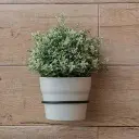T03205-wall-mounted-flower-pot-hanger (2).webp