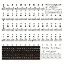 Removable Large Piano Key Sticker for Beginners label for 88/61/54/49/37 keys